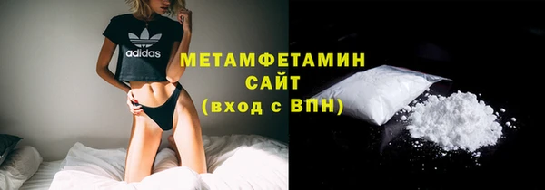 прущие грибы Гусиноозёрск