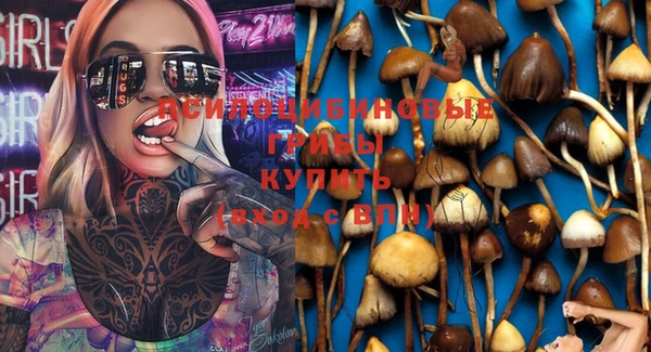 бутират Верея